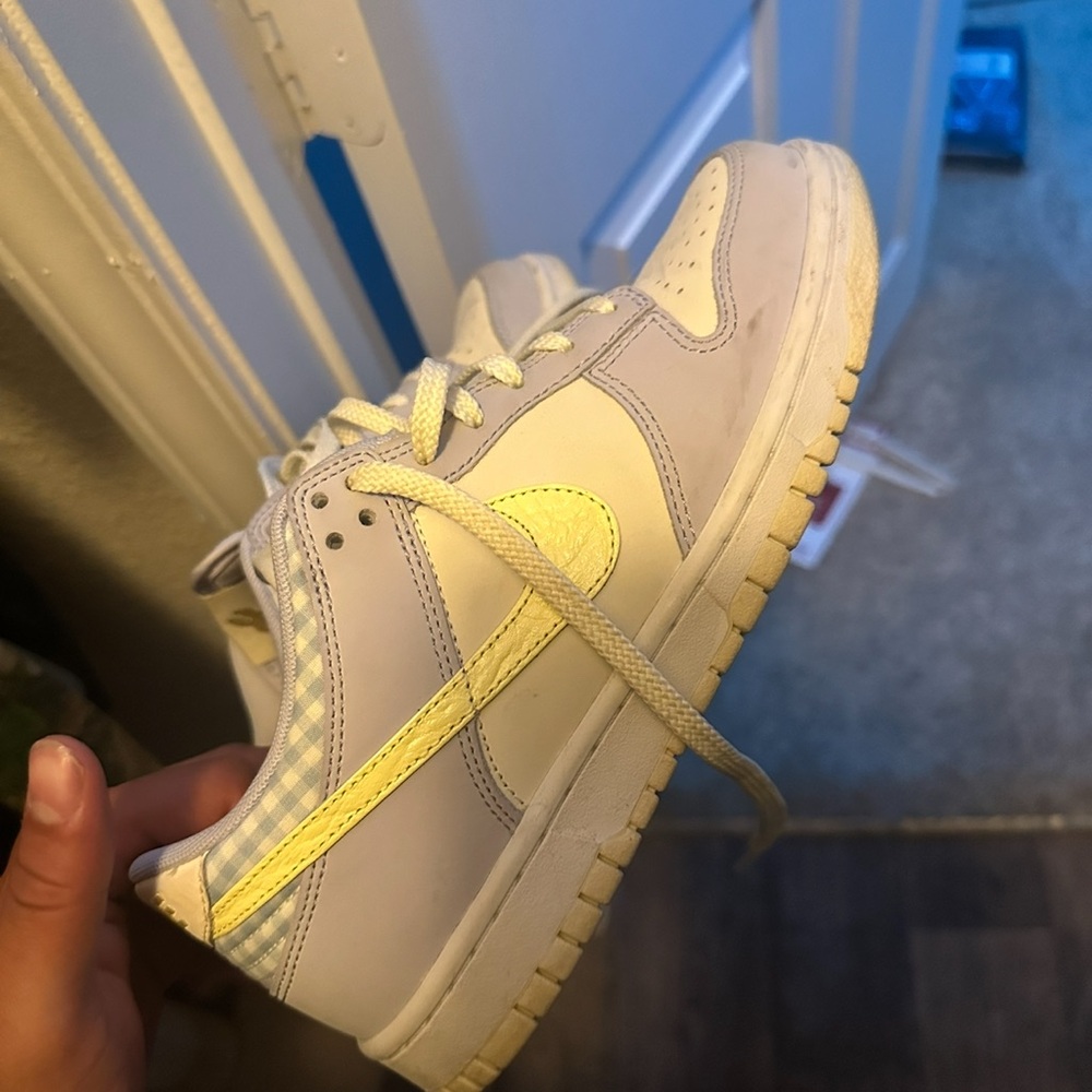 Nike sb dunks
